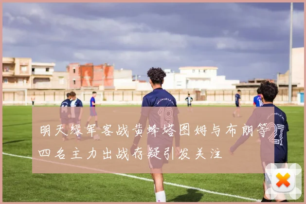 明天绿军客战黄蜂塔图姆与布朗等四名主力出战存疑引发关注
