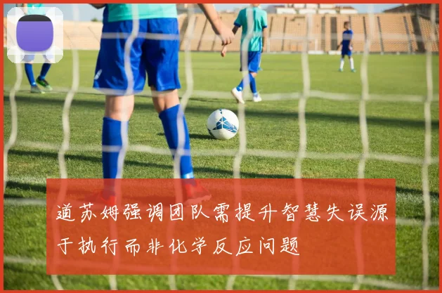 道苏姆强调团队需提升智慧失误源于执行而非化学反应问题